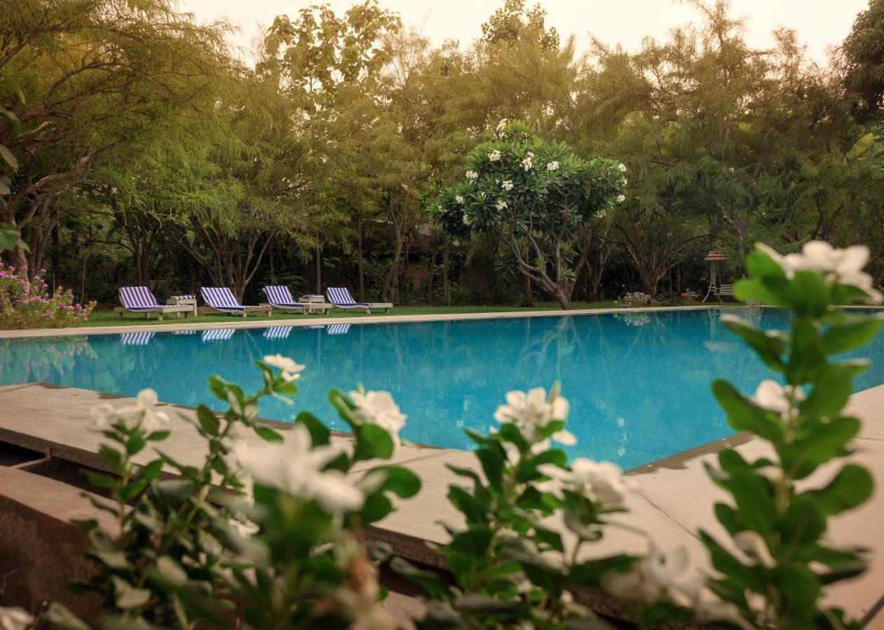 Pushkarorganic - Lux Farm Resort With Pool Exterior foto